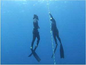 freediving courses bali 2 free divers